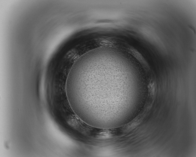 X0000099540381200805231133