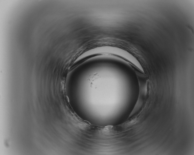 X0000099540382200805231133