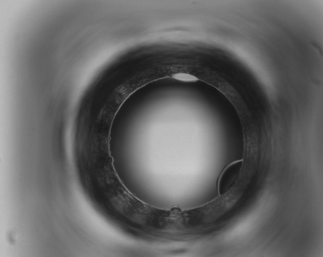 X0000099540383200805231133