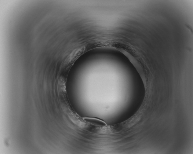 X0000099540384200805231133