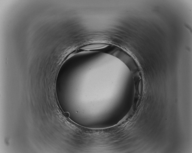 X0000099540385200805231132