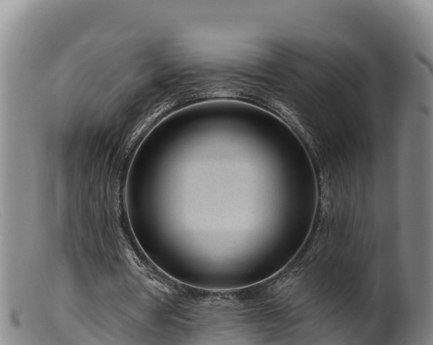 X0000099540386200805231132