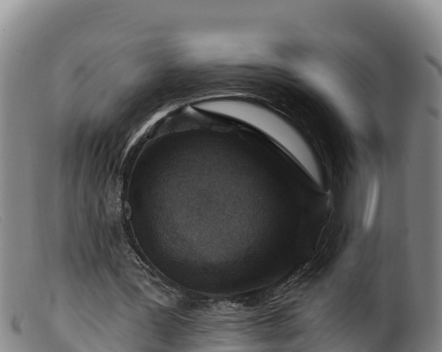 X0000099540387200805231132