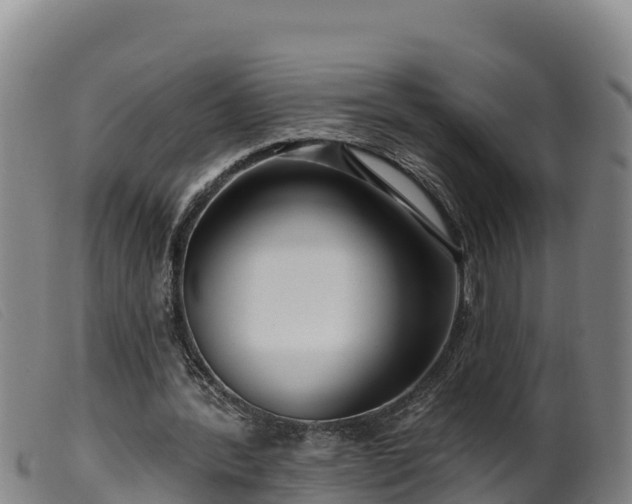 X0000099540388200805231132