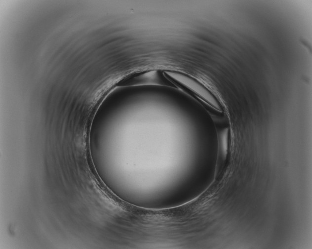 X0000099540389200805231132