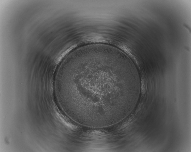 X0000099540390200805231132