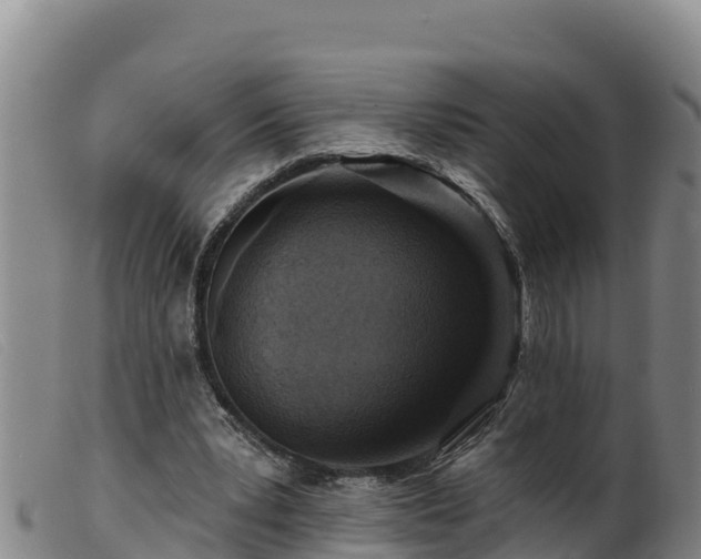 X0000099540391200805231132