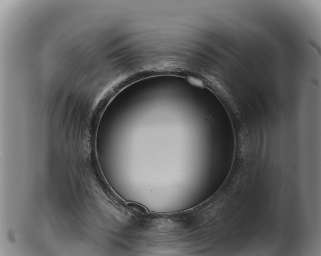 X0000099540392200805231132