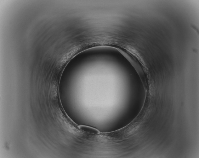 X0000099540393200805231132