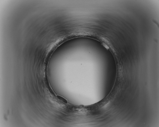 X0000099540395200805231132