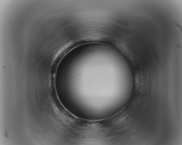 X0000099540396200805231132