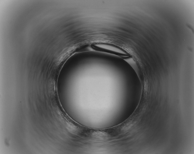 X0000099540397200805231132