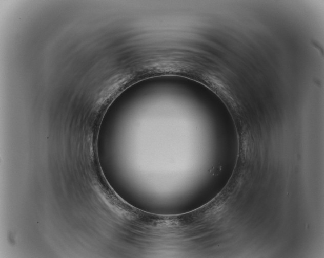 X0000099540398200805231132