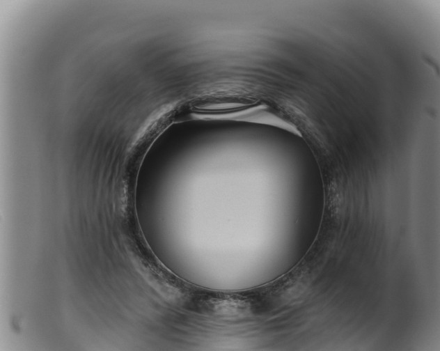 X0000099540400200805231131