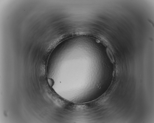 X0000099540401200805231131