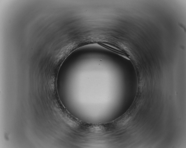 X0000099540402200805231131