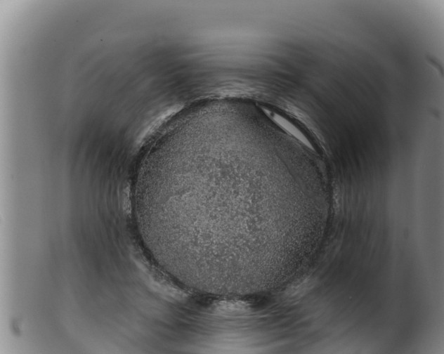 X0000099540403200805231131