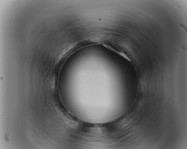 X0000099540404200805231131