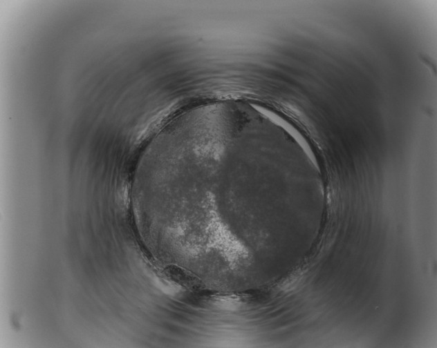 X0000099540405200805231131