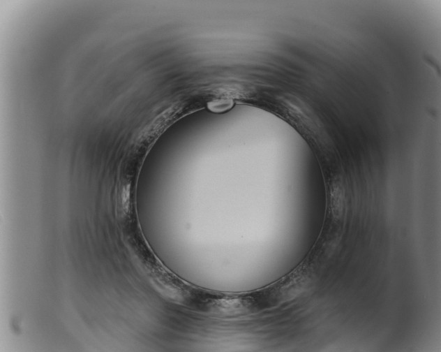 X0000099540406200805231131