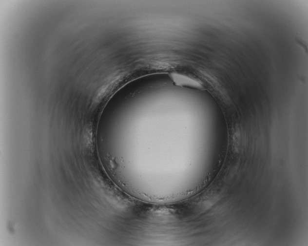 X0000099540407200805231131