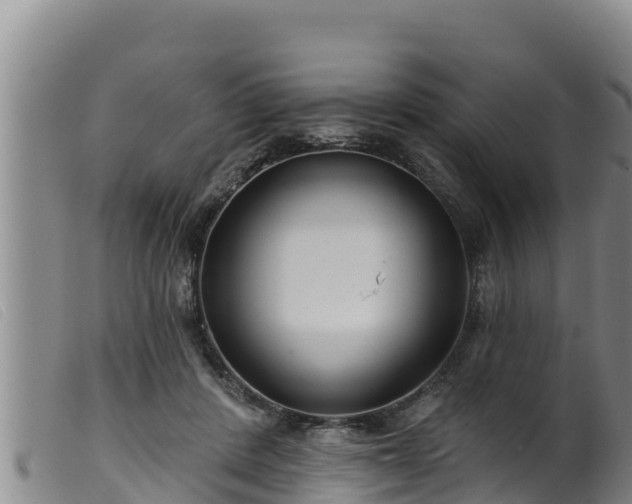 X0000099540408200805231131