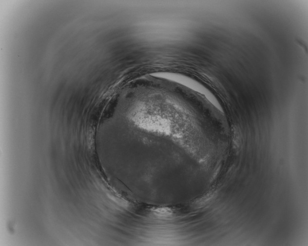 X0000099540409200805231131