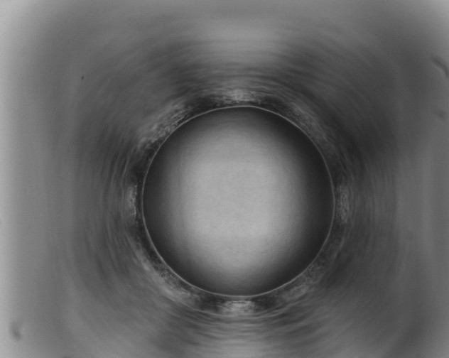 X0000099540410200805231131