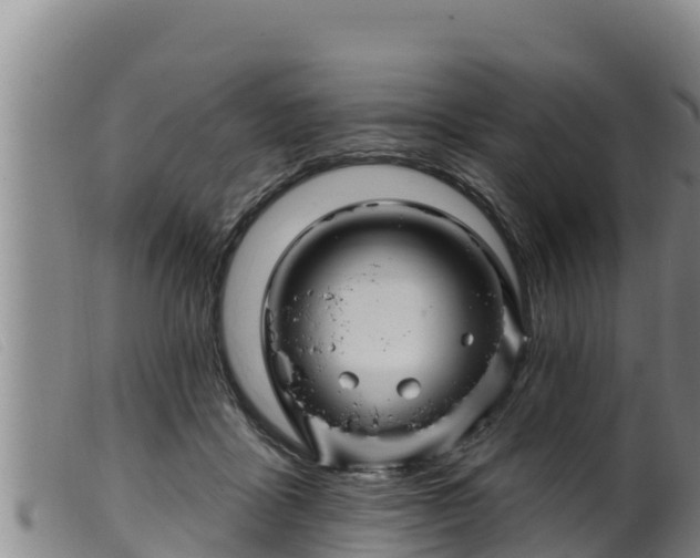 X0000099540411200805231131