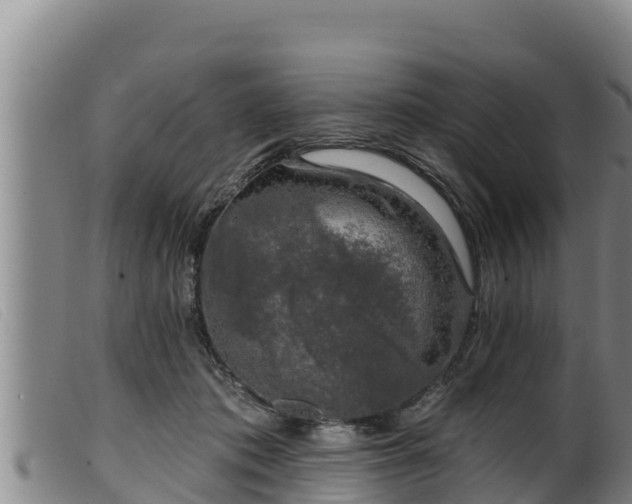 X0000099540413200805231131