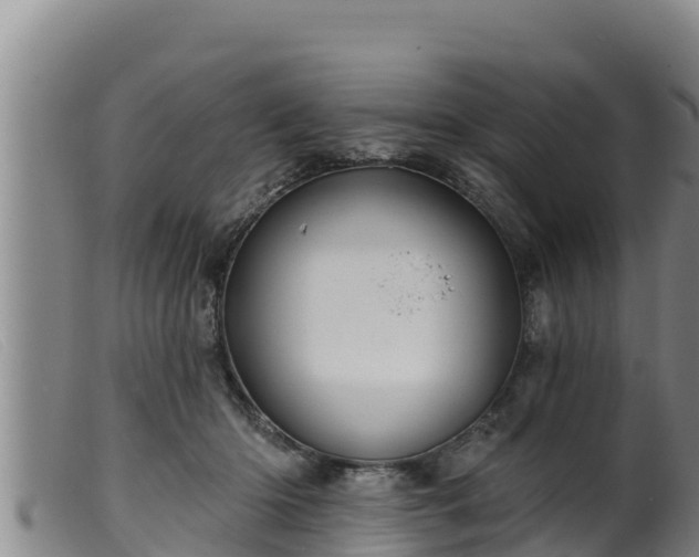 X0000099540414200805231131