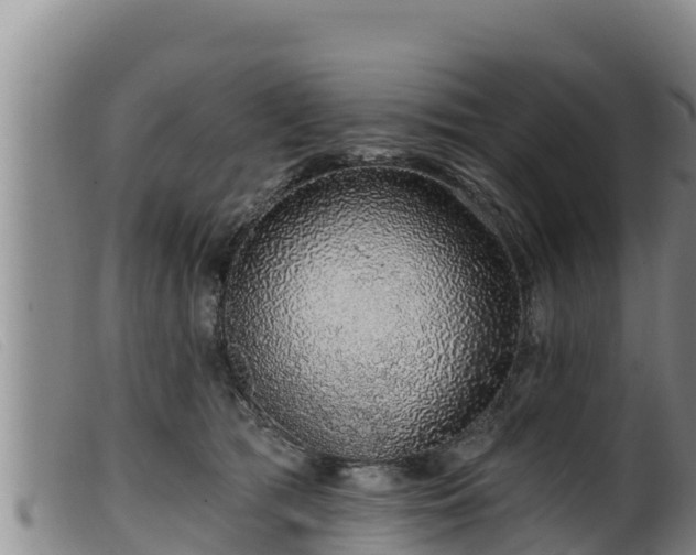 X0000099540417200805231131