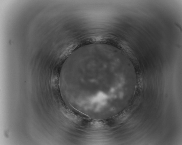 X0000099540419200805231131