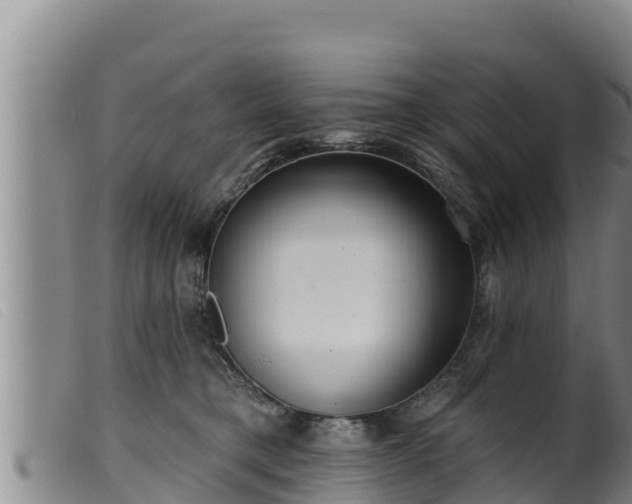 X0000099540421200805231131