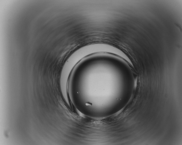 X0000099540423200805231131