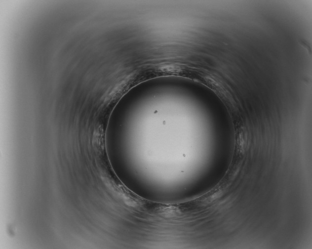 X0000099540424200805231131