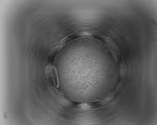 X0000099540425200805231131