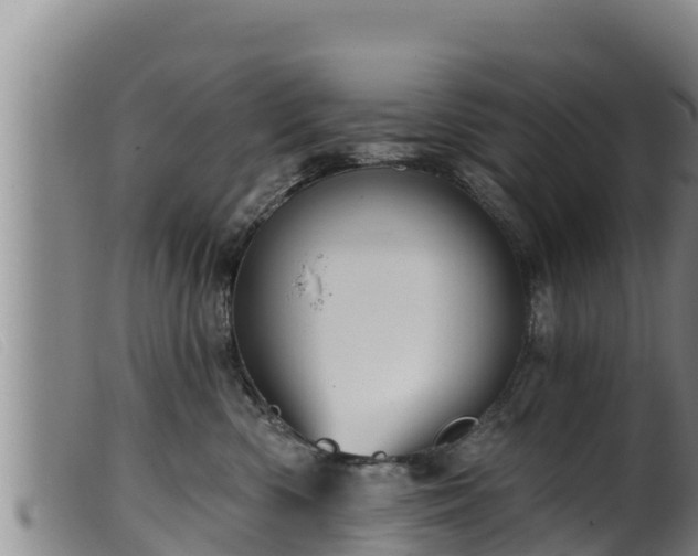 X0000099540426200805231131