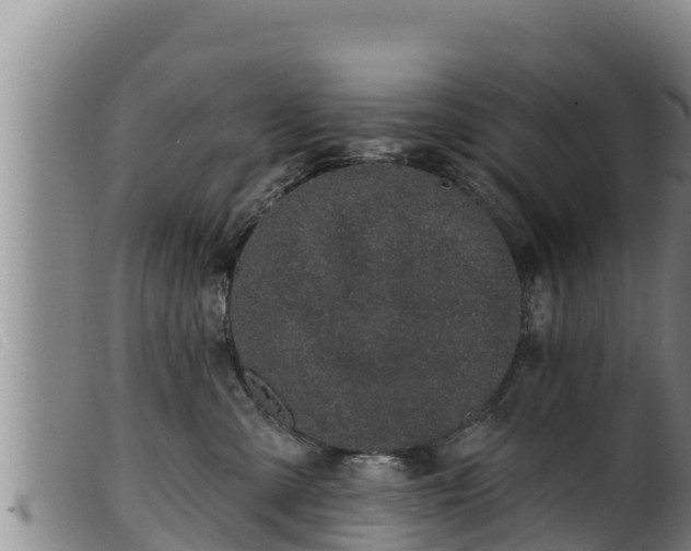 X0000099540427200805231131