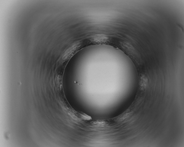 X0000099540428200805231131