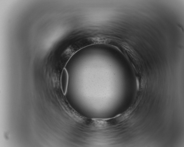 X0000099540429200805231131