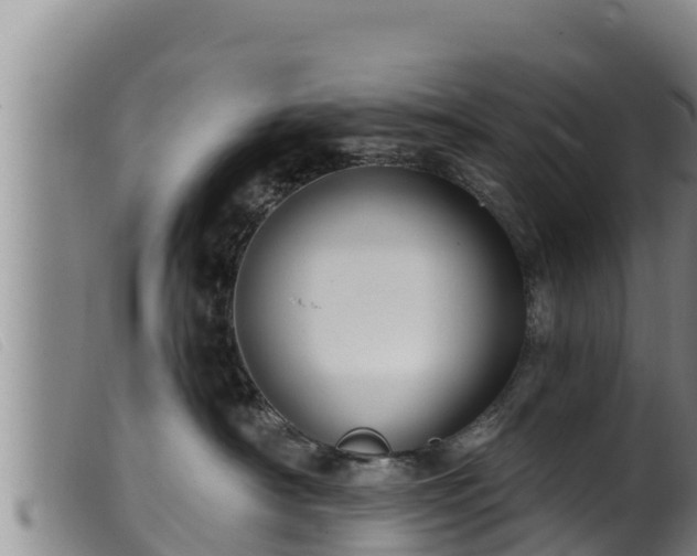 X0000099540430200805231131