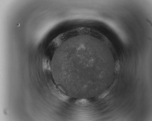 X0000099540431200805231131