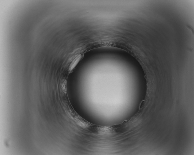 X0000099540432200805231131