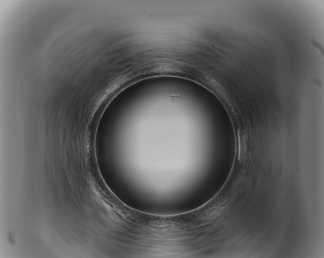 X0000099540435200805231130