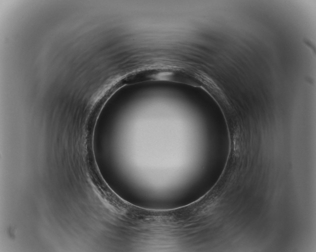 X0000099540436200805231130