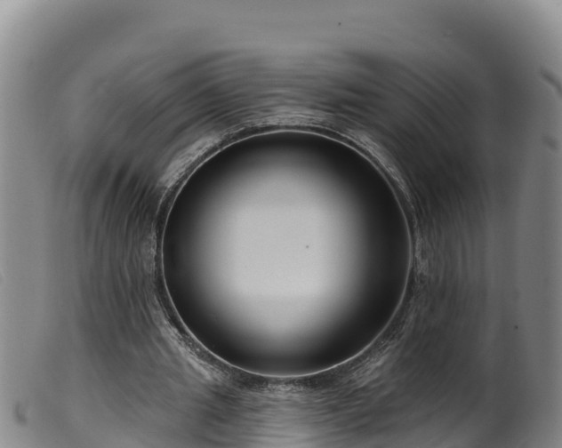 X0000099540437200805231130