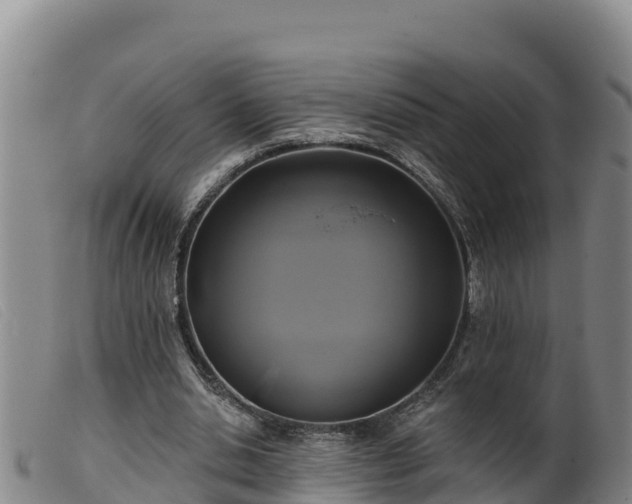 X0000099540438200805231130