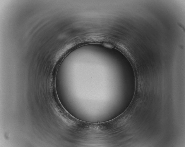 X0000099540439200805231130