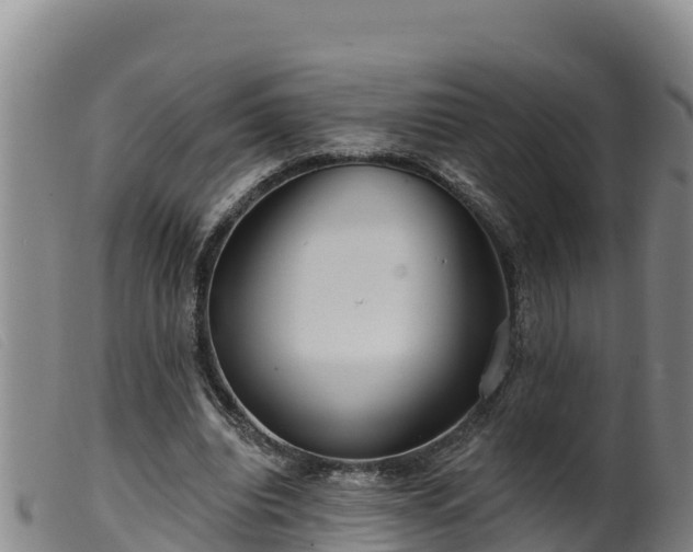 X0000099540440200805231130